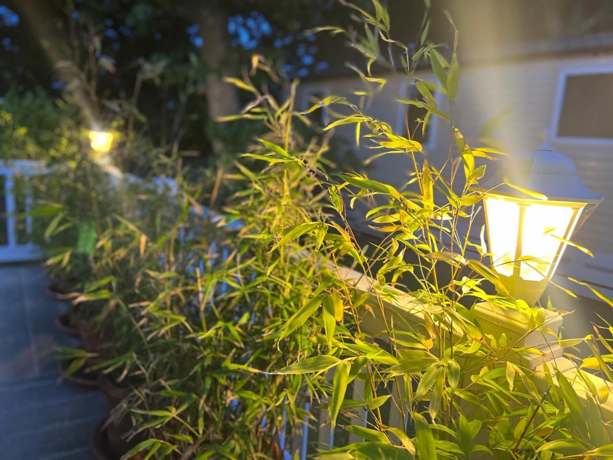 Jungle Lodge 리밍톤 외부 사진