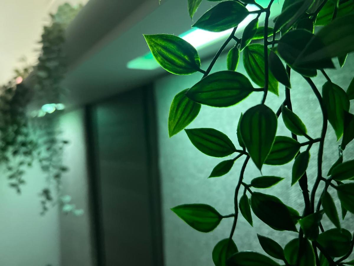 Jungle Lodge 리밍톤 외부 사진